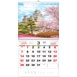 TJ-608 漫遊日本